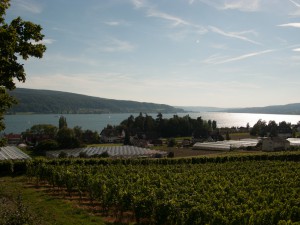Het eiland Reichenau