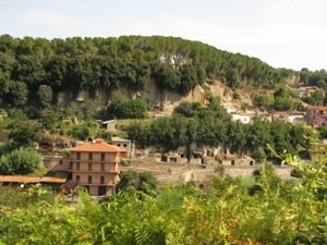 20130816-102801.jpg