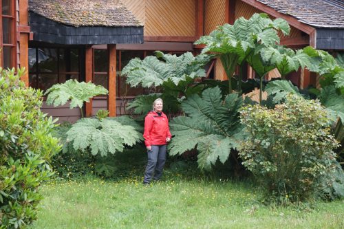 1A058801-A43A-413A-80EA-DA2526B74FA4