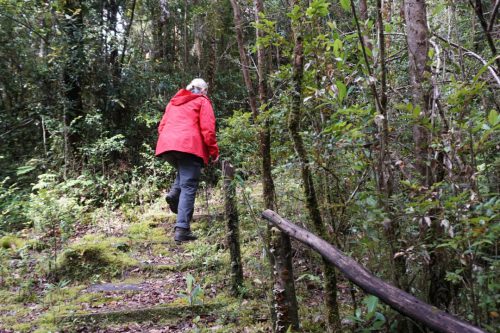 E7733646-B26B-437B-9321-5FBFE91DC43C